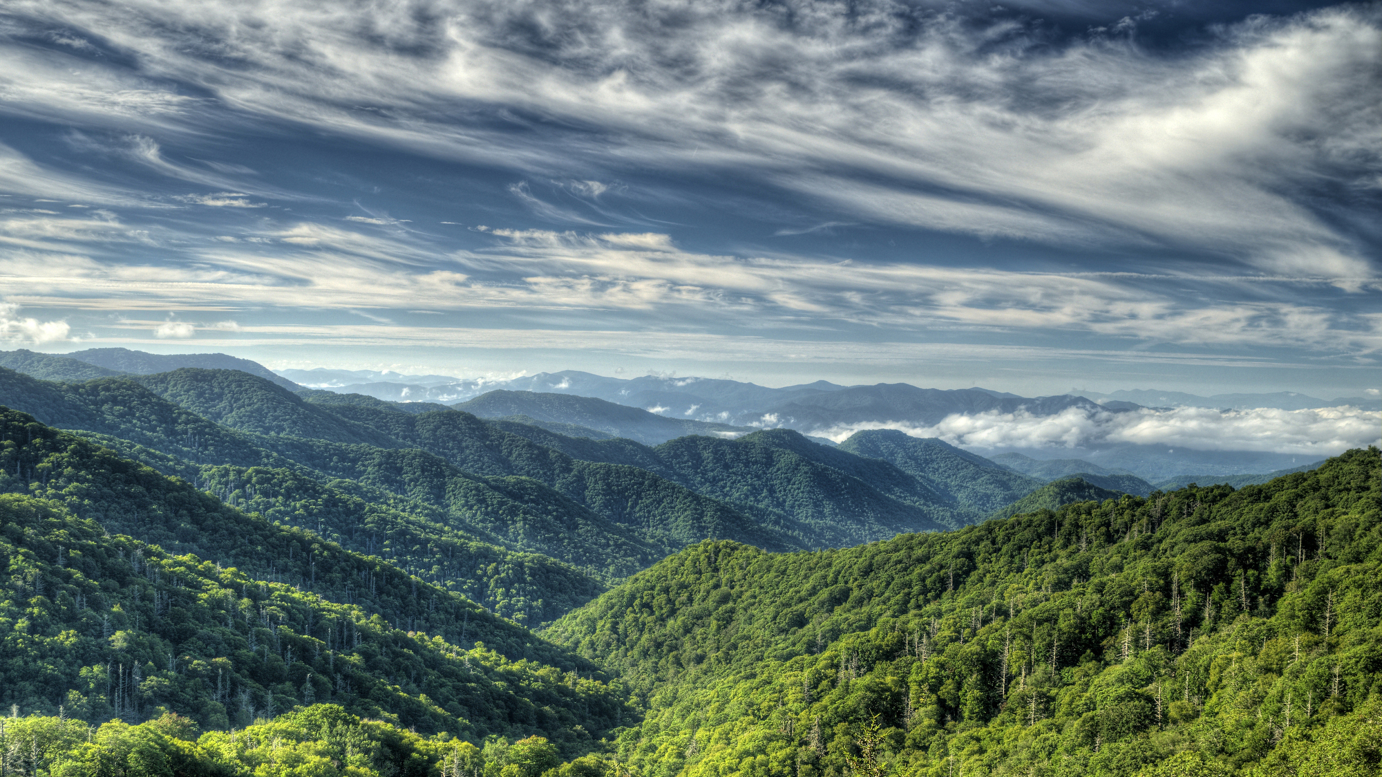 Every hiker should experience the Great Smoky Mountains where old-growth fo...